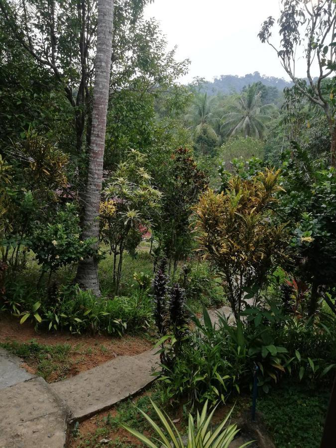 Durian Chalet Kuala Tahan Exteriér fotografie