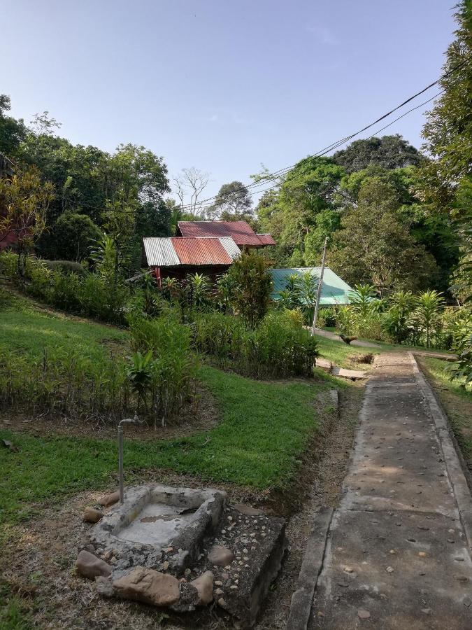 Durian Chalet Kuala Tahan Exteriér fotografie