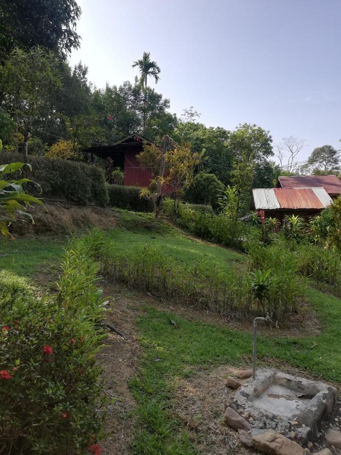 Durian Chalet Kuala Tahan Exteriér fotografie