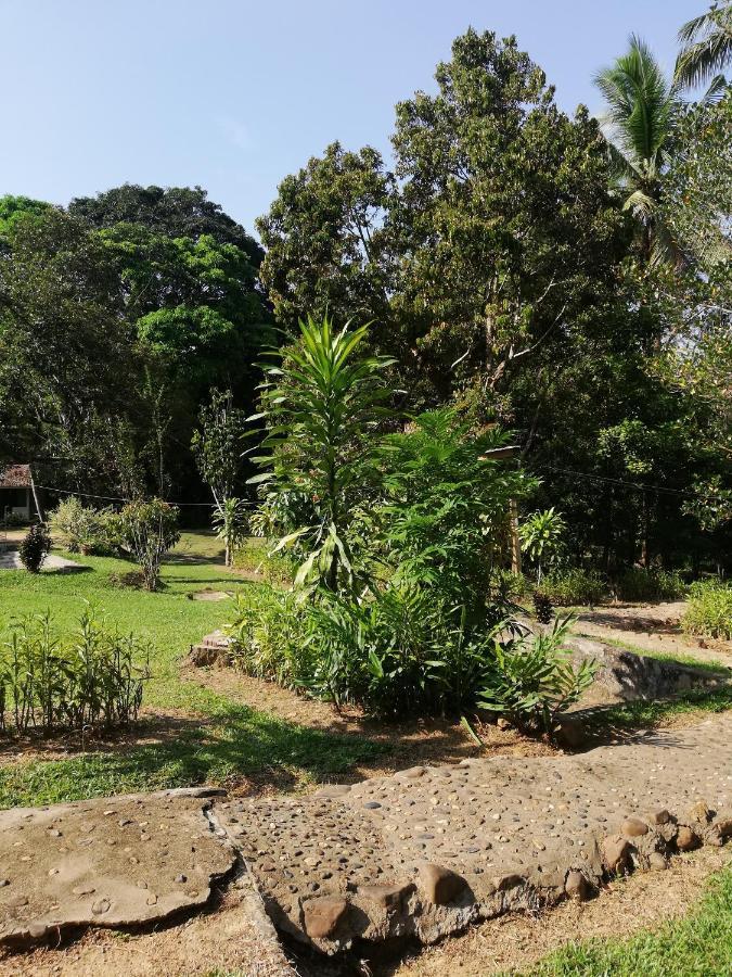 Durian Chalet Kuala Tahan Exteriér fotografie